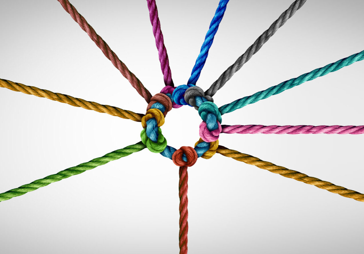 A group of ropes connected to each other.